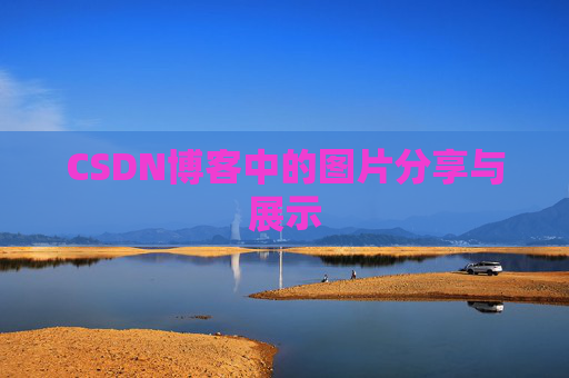 CSDN博客中的图片分享与展示